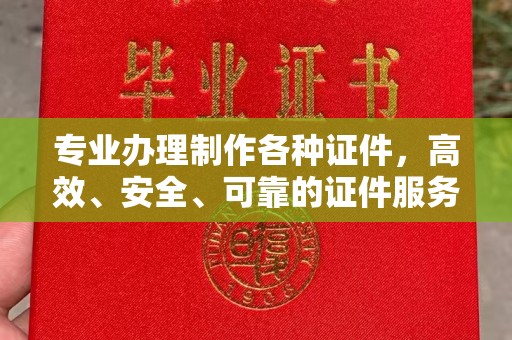 田阳专业办理制作各种证件，高效、安全、可靠的证件服务专家