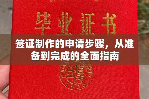 衡水签证制作的申请步骤，从准备到完成的全面指南