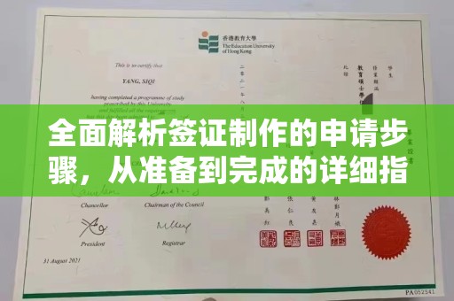 田家庵全面解析签证制作的申请步骤，从准备到完成的详细指南